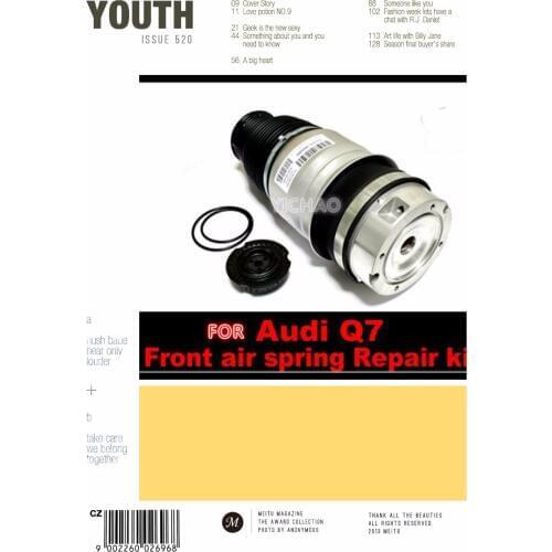 Air Suspension Air Spring Damper Tires Links 7L5616404B 7L5616404E 7L8616404B FRONT RIGHT For Audi 7