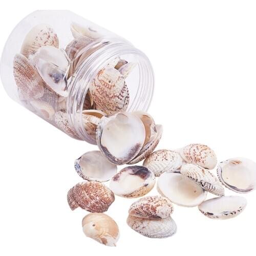 50 Pieces Natural Sea Shells Seashell with 1.5mm Hole for DIY Wind Chimes Ornament Vase Filler Wedding Table Decoration