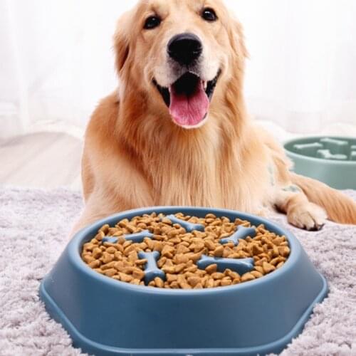 Cat Dog Bowl Epoxy Resin Mold Puppy Slow Feeder Silicone Mould DIY Crafts Pet Puzzle Food Dish Casting Tool