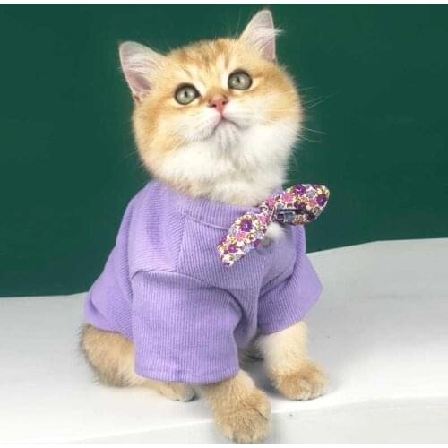 Spring Summer Clothes For Dogs Cat Cute Hoodies For Pet T-shirt For Small Puppy Chihuahua Pug Akita Cat Clothing XS-2XL Pet