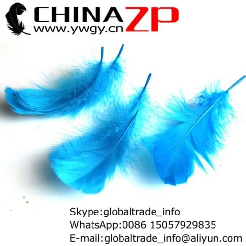 Top Class Plumage Exporting 500pcs/lot Good Quality Dyed Turquoise Goose Nagoire Loose Feathers