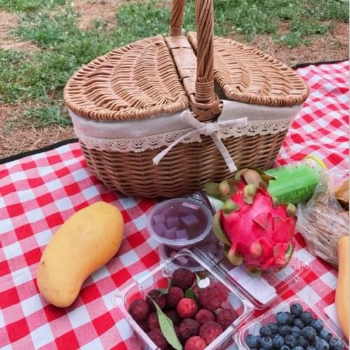 Handmade Large Wicker Basket with Handle Double-Lid Camping Picnic Willow Weaving Storage Hamper Outdoor Fruit Carrying