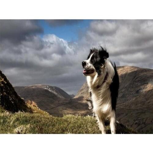 Animal Border Collie DIY 11CT Embroidery Cross Stitch Kits Needlework Craft Set Printed Canvas Cotton Thread Home Sell