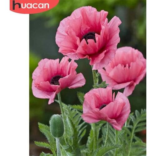 HUACAN Diamond Painting Mosaic Poppy Flower Full Square/round Diamond Embroidery Cross Stitch Floral Home Decor