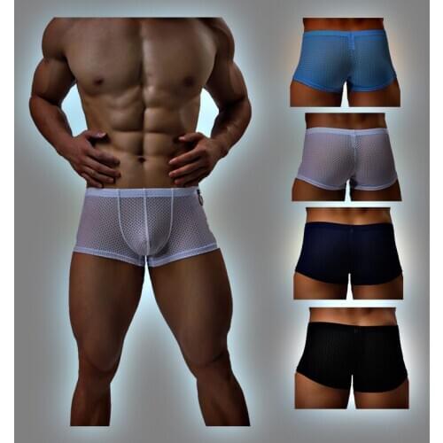 Sexy Mens Breathable Mesh 3D Pouch Boxers Briefs Males Underwear Sexy Ice Silk Trunks Comfortable Shorts Underpants