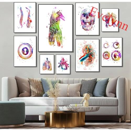 Human Body Anatomy Art Poster/Skull,Heart,Liver,Muscular System,Baby In Womb/Eye,Clinic Wall Art Print,Medicine Home Decor Canva