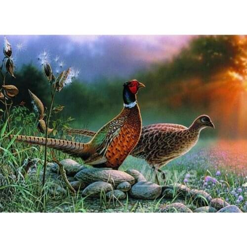 Full Square Round 5D DIY Diamond Painting Animal pheasant Pictures 3D Diamond Embroidery Mosaic Crystal Gift Home Decor DF164