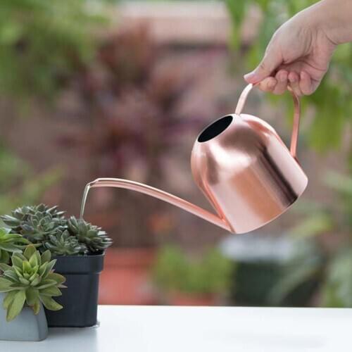500ML Stainless Steel Long Spout Home Garden Bonsai Plant Flower Green Watering Pot Golden Watering Can Small Gardening Tool