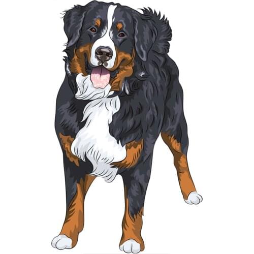 Dawasaru Bernese Mountain Dog Standing and Smiling Car Sticker Colorful Decal Laptop Motorcycle Auto Accessories PVC,19cm*12cm