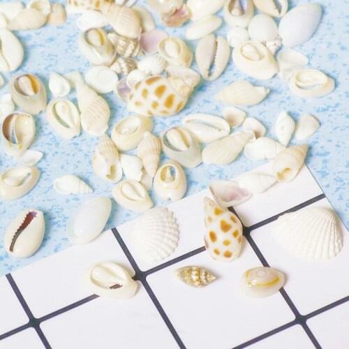 Natural Conch Shell DIY Handcraft Crystal Epoxy Filler Practical Ornaments Accessories Candle Pottery Craft Decoration Materials