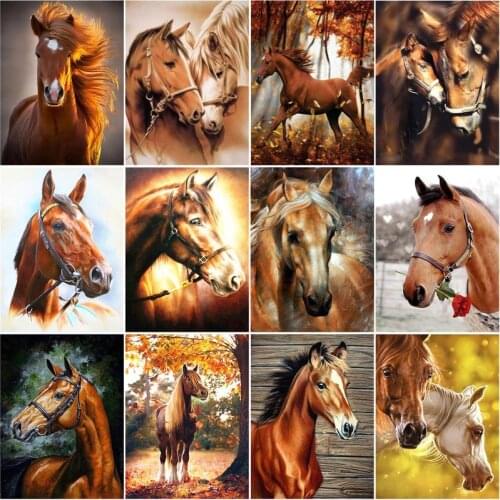 CHENISTORY Frame Picture Painting By Numbers Kits Horse Animals Acrylic Wall Art Home Decors Coloring By Numbers For Diy Gift