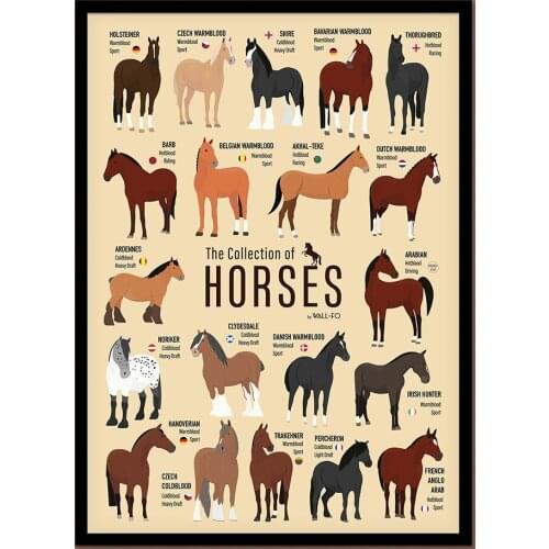 Horse Type Variety Printable Wall Art Poster Gift for Horse Lovers Modern Canvas Painting and Printmaking Living Room Home Decor