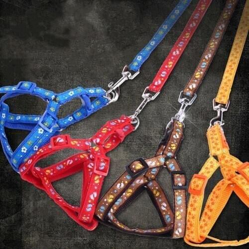 No Pull Printed Dog Harness Leash Set Pet Vest Lead for Small Meduim Large Dogs Puppy Perfect for Daily Training Walking S M L
