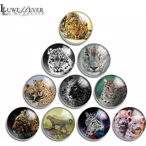 12mm 10mm 16mm 20mm 25mm 30mm 547 Leopard Mix Round Glass Cabochon Jewelry Finding 18mm Snap Button Charm Bracelet