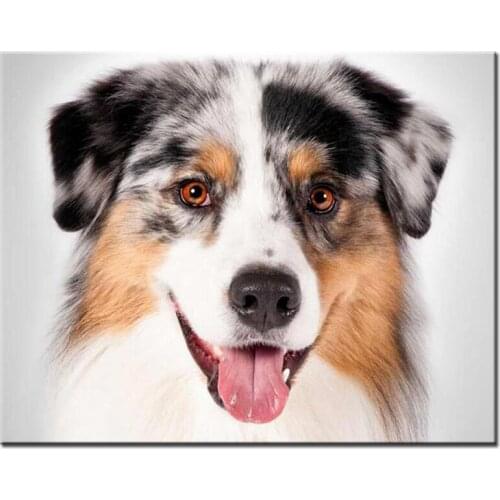 DIY, diamond embroidery Australian Shepherd 5D diy diamond painting animal cute pet diamond cross stitch mosaic, rhinestone art