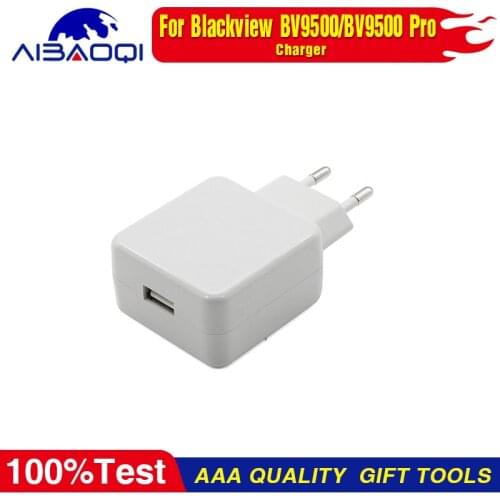 New Original Charging head EU Charger Adapter For BV9500/BV9500 Pro Phone Perfect Replacement Parts Free Tools