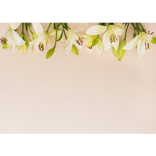 Pure Color Flowers Photo Backdrops for Goods Perfume Cream Toys Clothes Photographic Backgrounds For Photo Studio Baby Photocall