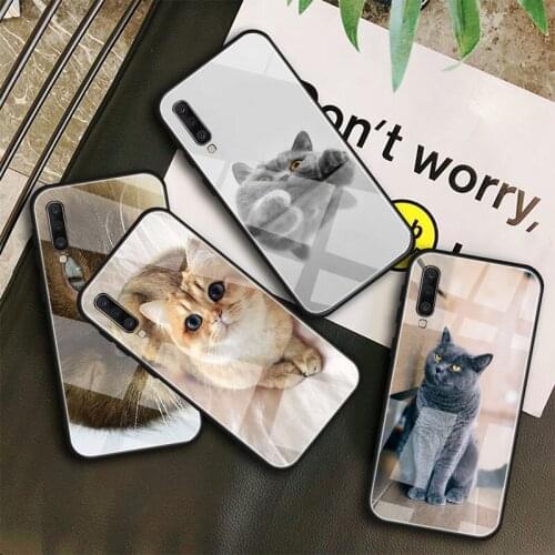 British Shorthair cat Tempered Glass Case For Samsung Galaxy A10S A10E A20S A20E A30S A40 A50S A60 A70 A80 A90 A6 A7 A8 Shell