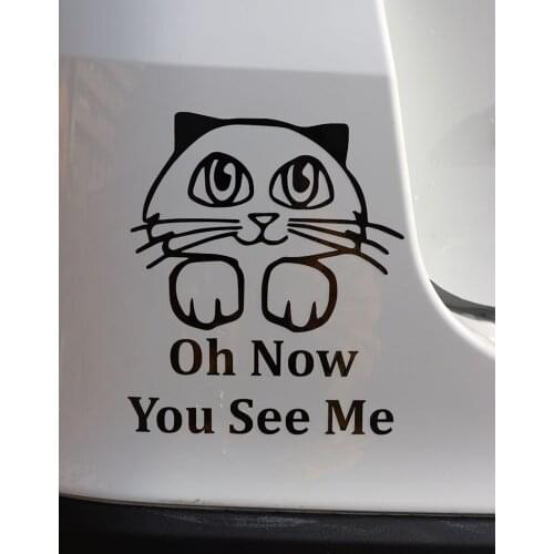 ZTTZDY 13.1*15.3CM Oh Now You See Me Car Sticker Lucky cat Vinyl Decal Black/Silver ZJ4-0174
