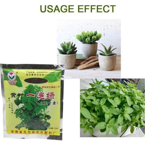 20g Plant Foods For Treating Yellow Leaves Nutrition Leaves Bonsai Diseased For Yellow Control Garden Plant Leaflets R6P2