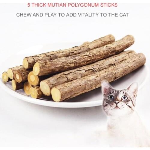 Cat Toys Interactive Catnip Ball Kitten Cleaning Teeth Healthy Catnip Wooden Balls Pet Supplies Accessories