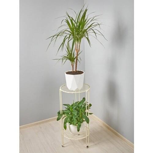 Ilwi Plant Racks