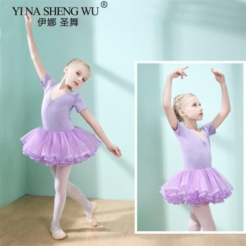 Girls Ballet Dance Dress Spring&Summer childrens Dress Dance Leotard Costumes Tutu Skirt Gymnastics Kids Tulle Skirted Leotards