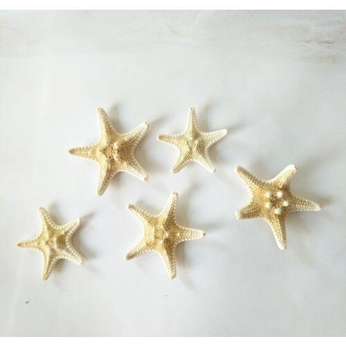HappyKiss Beach decor small brown starfish for nautical decor, jewelry, SIZE: about2-4cm natural starfish natural seastar