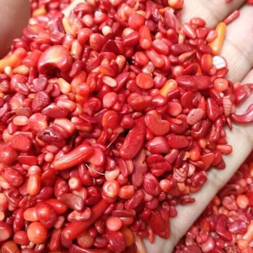 100g Red Coral Rubble for Cabbing / Cutting / Lapidary / Tumbling / Polishing