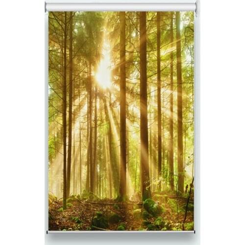 Modern living room Sunshine forest photo print curtains for the living room bedroom customize 3D Roller Blinds