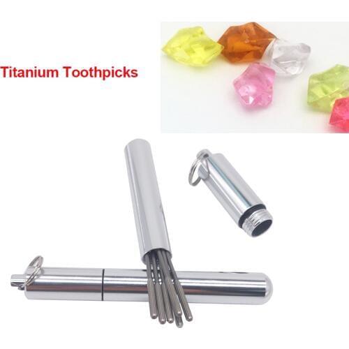 6Pcs Titanium Toothpicks, Decorative Portable Outdoor Stainless Steel Toothpick Dispenser with Reusable Food Fruit Picks