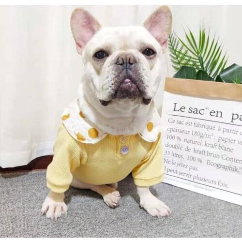 Lovely Collar Dog Tshirt for Small Medium Dogs Sweet Dot Shirt Schnauzer Summer Cool Clothing Frenchie Bulldog Pet Dog Costumes