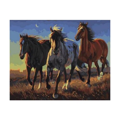 Three horses Oil Painting By Number Acrylic Paint Decor Canvas Painting Coloring By Number Drawing Animal