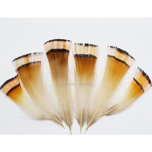 Wholesale 200pcs 4-9cm Natural Pheasant Chicken Feathers For DIY Mask Hat Show Carfts Dress Clothing Wedding Decoration Plumas