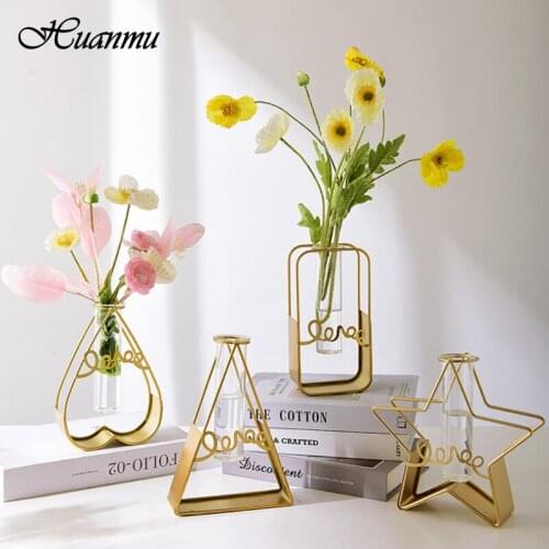 Nordic Creative Vase Home Decor Golden Glass Vase Hydroponic Plant Holder Iron Line Desktop Ornament Living Room Decoration