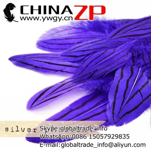 Leading Supplier CHINAZP Factory 2000pcs/lot 8~10cm Length Cheap Good Quality Dyed Purple Silver Pheasant Plumage Feathers