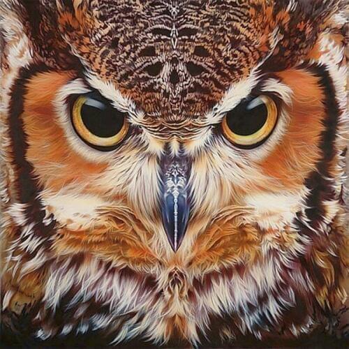 Full Diamond Painting Cross Stitch Round Diamond Mosaic Craft Diamond Embroidery 5D Diy Needlework Color Animal Owl Paintings