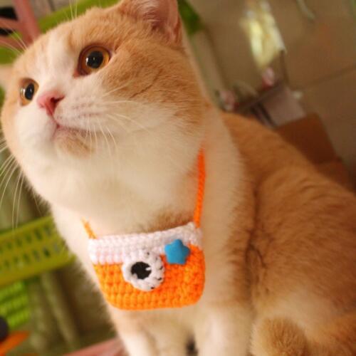 Hand knitted small camera bag pet cat collar pendant cat collar photography cat neck ring pet supplies cat accessories