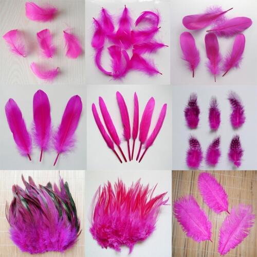 20pcs 11 kinds Rose Color Pheasant tail Chicken feathers Goose Rooster Plumas for Party DIY Craft decoration Ostrich feather