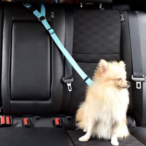 Outdoor Traction Rope Dog Products Pet Car Seat Belt Dog Seat Belt Dog Leash Traction Belts Cushioning Elastic Safety Rope