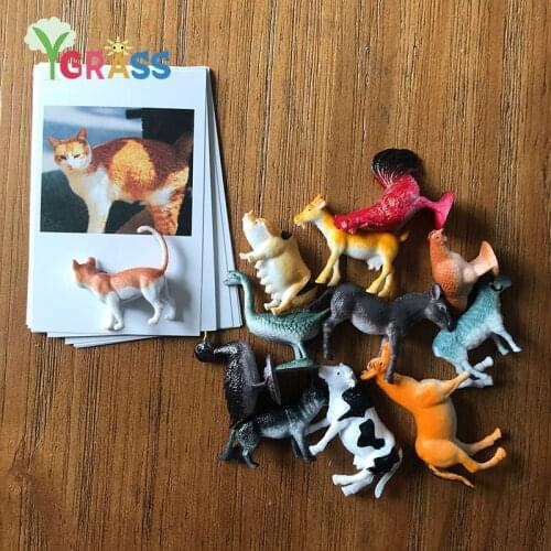 24PCS Montessori Toys For Boys Biology Farm Animal Matching Cards Game Preschool Educational Learning Poultry Models Kid Toy