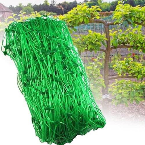 Plant Netting Garden Pea Netting Green Garden Netting Trellis Net For Bean Fruits Vegetables Climbing For Plants Netting Tools