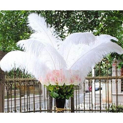 Hot Sale 50pcs/lot Beautiful White Ostrich Feather 35-40cm/14-16inch Carnival Jewelry Dancers Wedding Accessories for Plume
