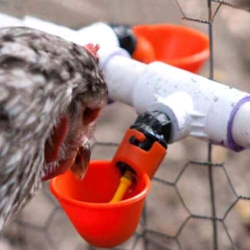 1 Pcs Chicken Drinking Cup Automatic Drinker Chicken Feeder Plastic Poultry Water Drinking Cups Easy Installation With Screws