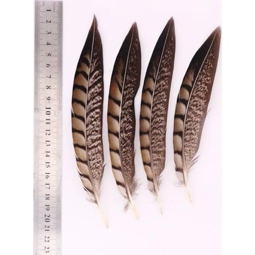 New 100pcs/lot Beautiful Natural Pheasant Tail Feathers 15-20cm 6-8inch Craft DIY Decoration Plumas De Faisan