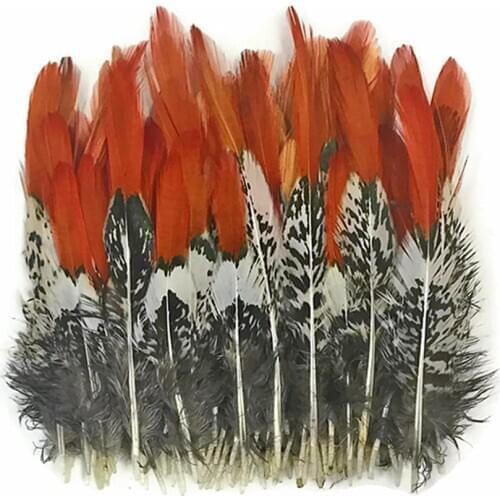 Natural Lady Amherst Pheasant feathers Feathers For Crafts 5-30CM 2-12 inch Jewelry Making Accessories Wedding Decoration Plumes