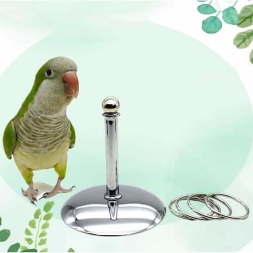 Pet Bird Platform Metal Ring Parrot Educational Interactive Intelligence Training Bite-resistant Chew Toy Supplies