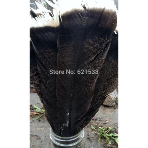 30Pcs/lot!10-12inches 25-30cm Natural Wild Turkey feathers -tail feather - smudge supplies,feathers decoration