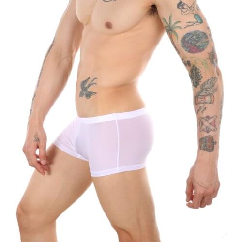Summer Ice Silk Men Underwear Seamless Transparent Boxer Shorts Ultra Thin Sheer Breathable Comfortable Panties Underpants