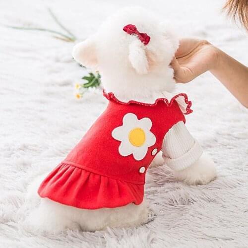 Baby Haha Dresses For Dogs